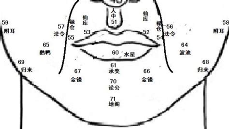 面相 鼻|麦玲玲面相讲座之 鼻子 – 人相学